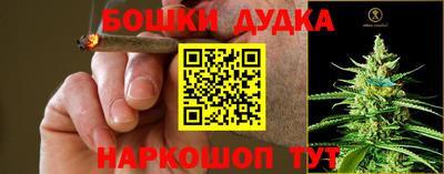 крисы Можайск