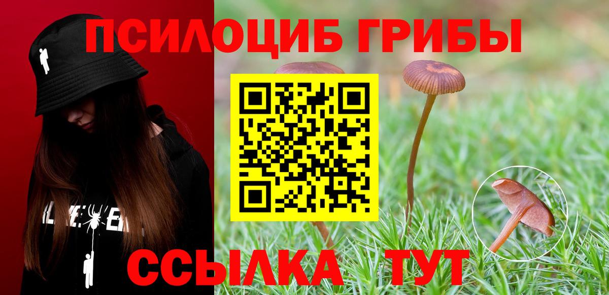 Псилоцибиновые грибы ЛСД  Галлюциногенные грибы Psilocybe  Ярославль  купить наркотики сайты  Вход с VPN 
